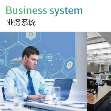 业务全过程的软件应用 配图